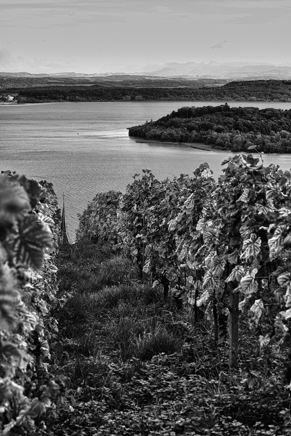 © Simon Schmid, Bibliothèque nationale suisse