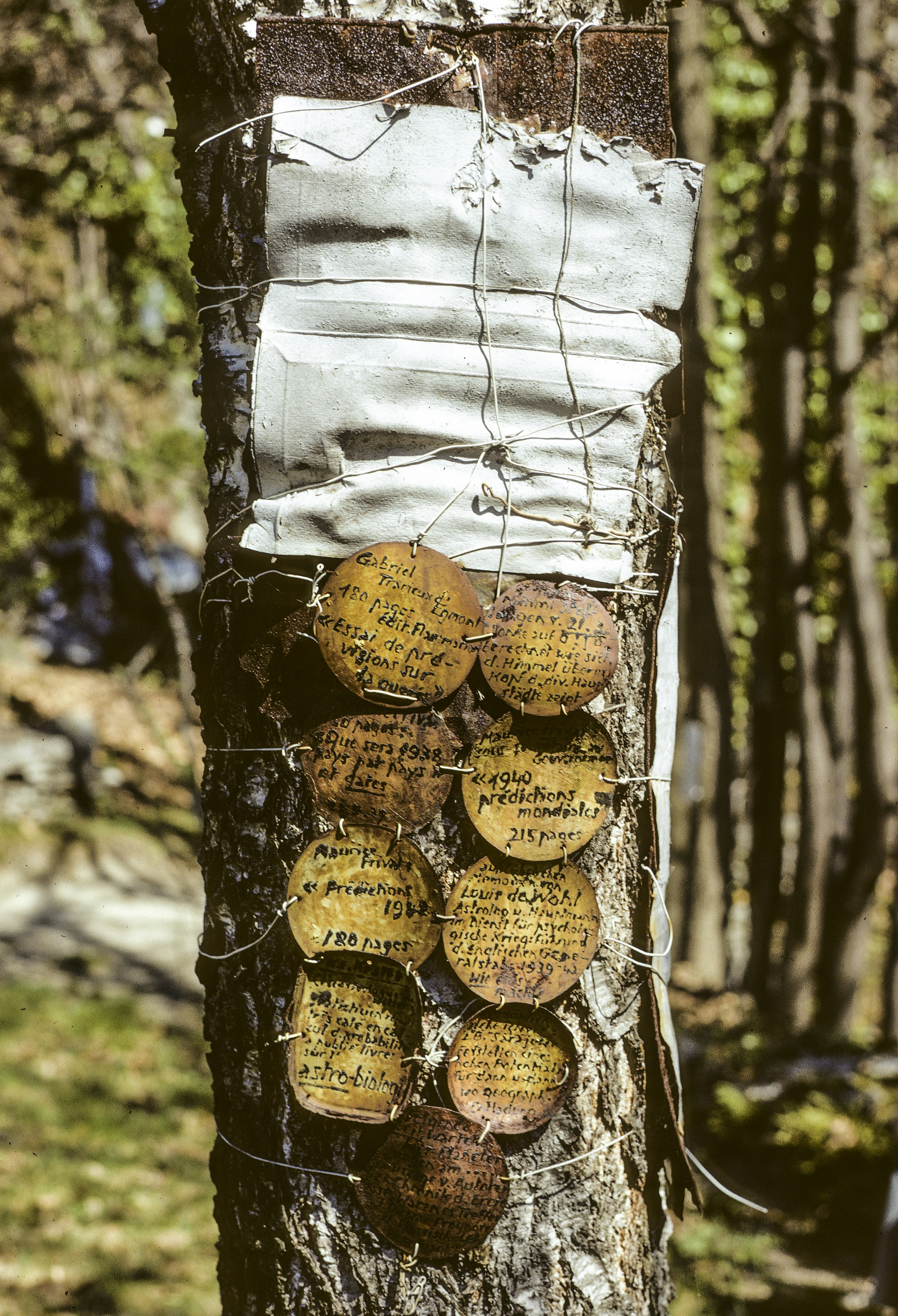 © Hans-Ulrich Schlumpf