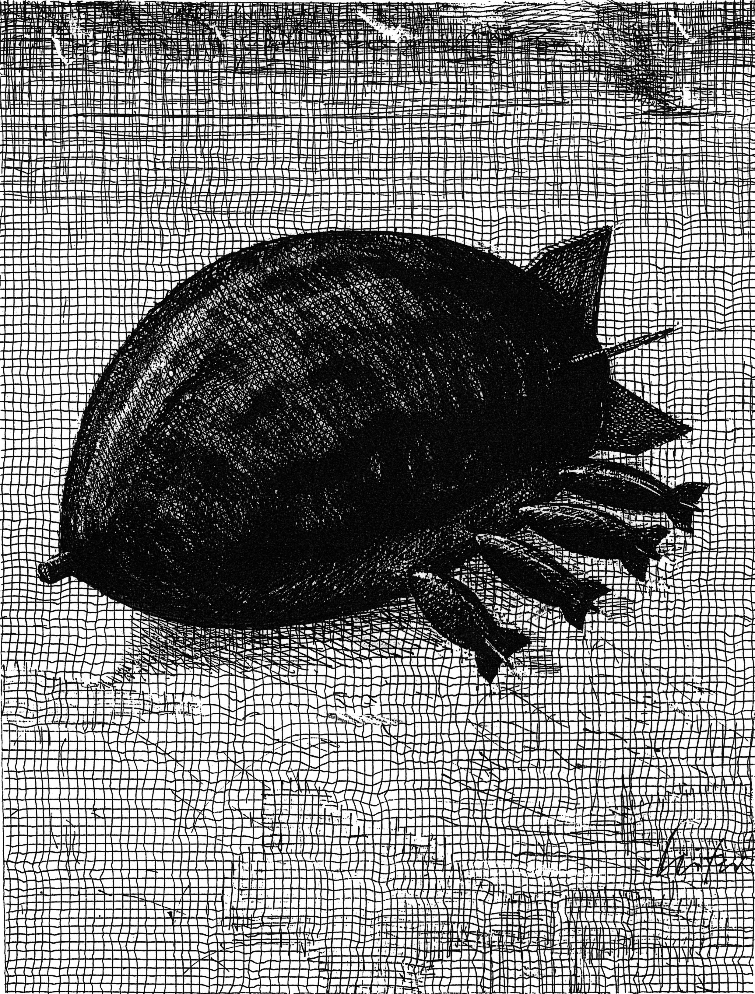 portée, © Martial Leiter